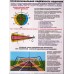 Уголок безопасности для АТП и автошкол 